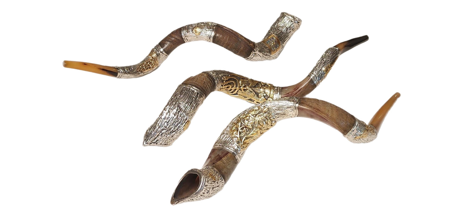 XL KUDU SILVER around,