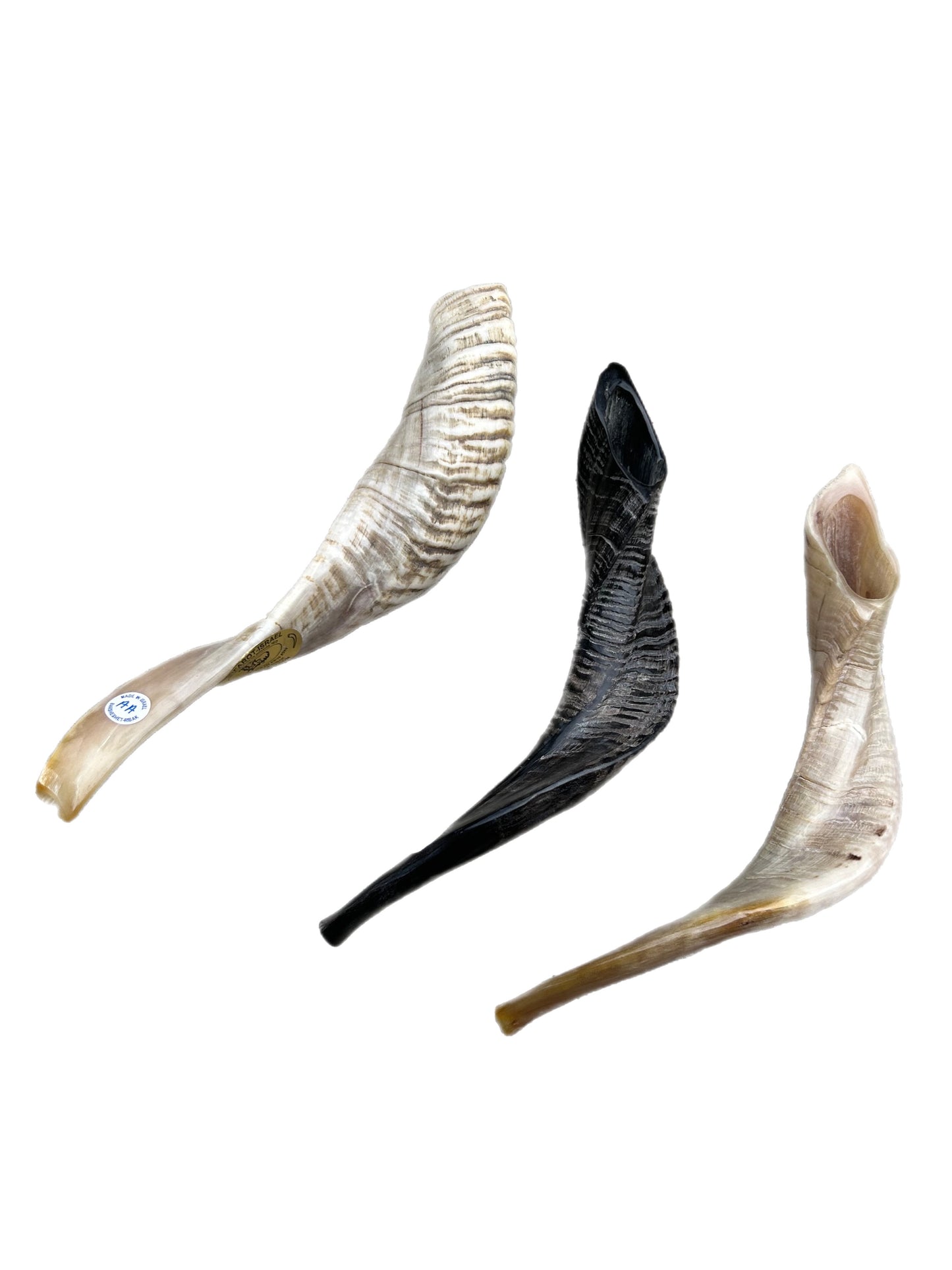 RAM AA SHOFAR NATURAL