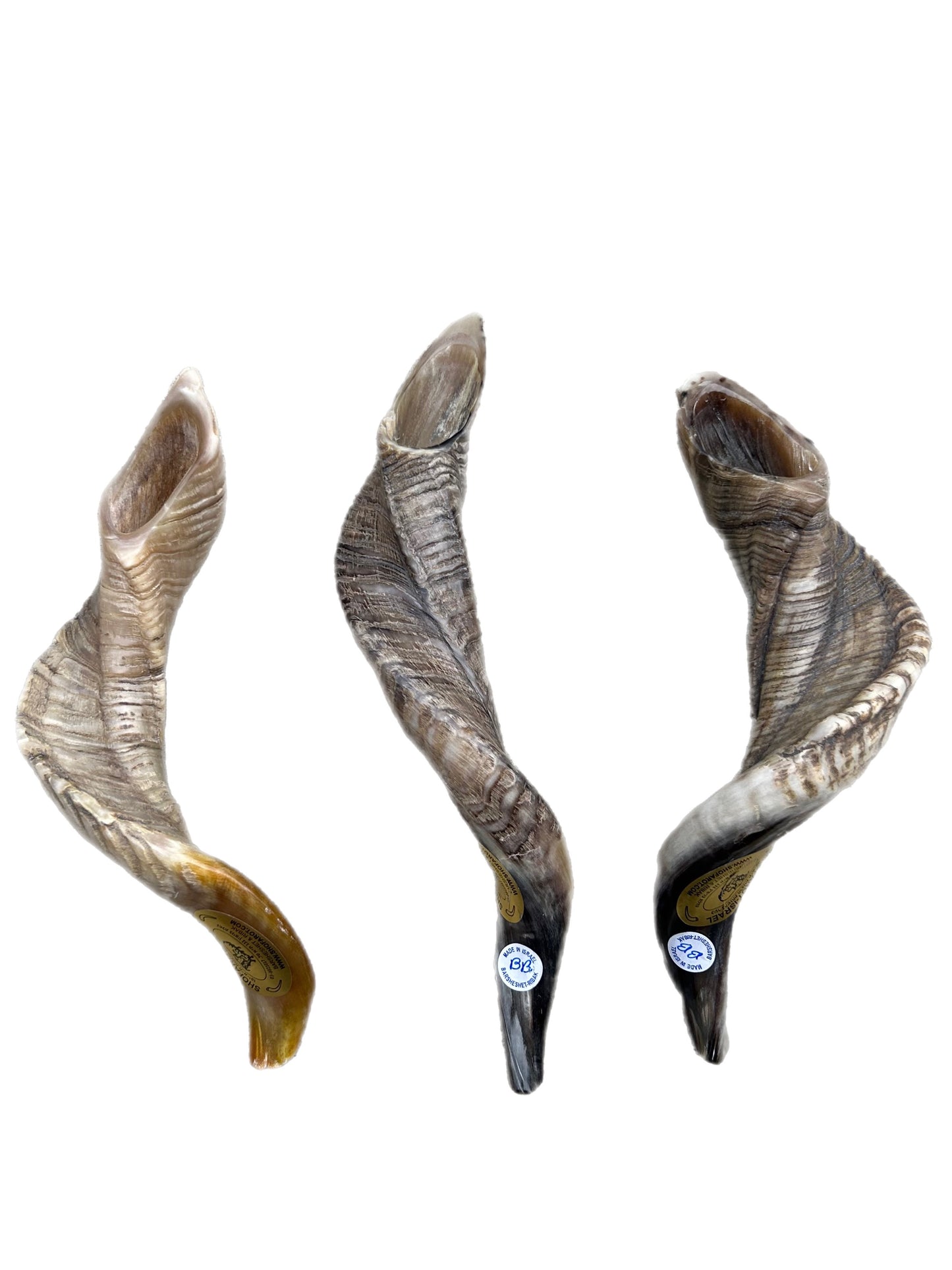 RAM BB  SHOFAR NATURAL