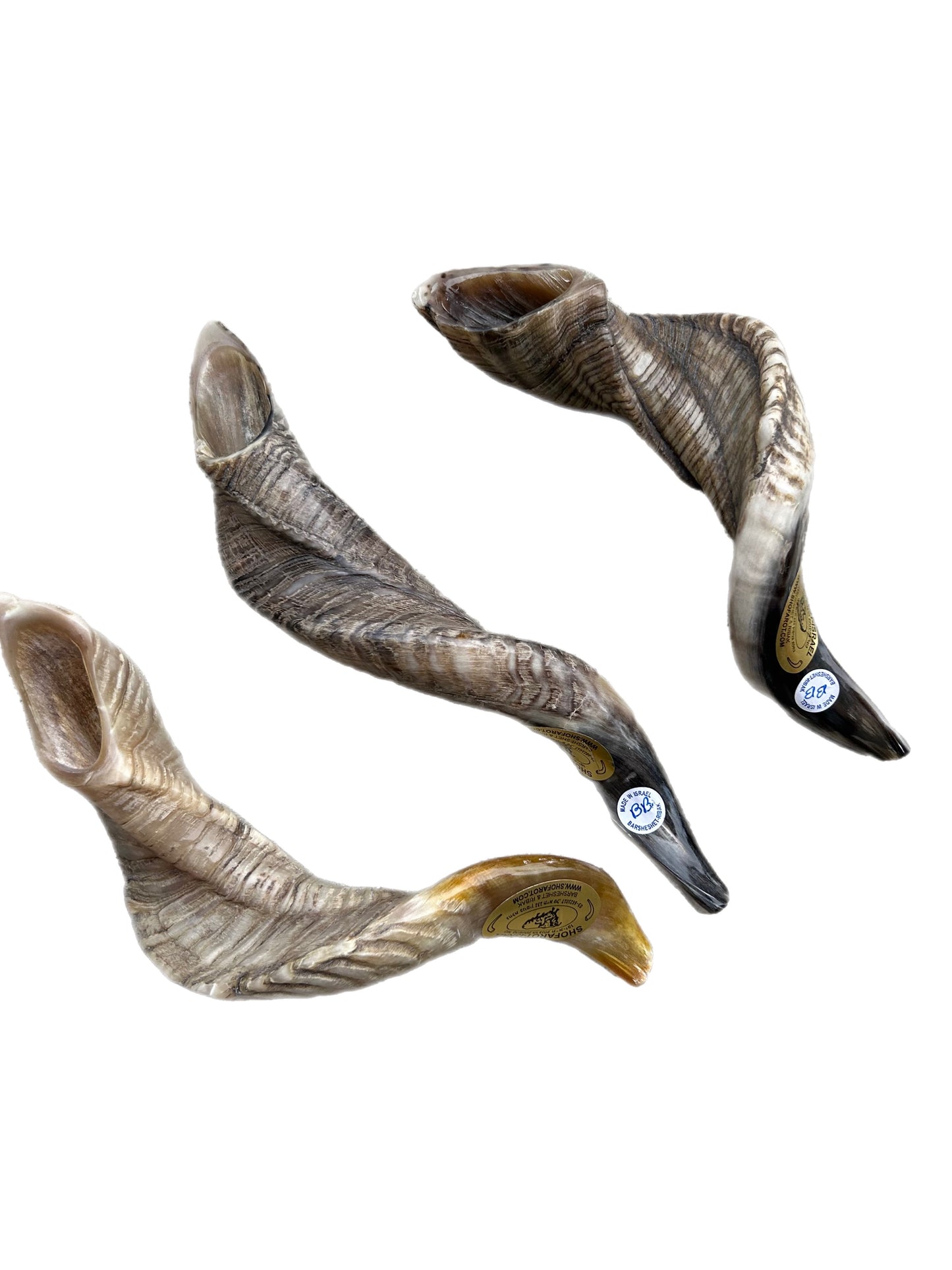 RAM BB  SHOFAR NATURAL