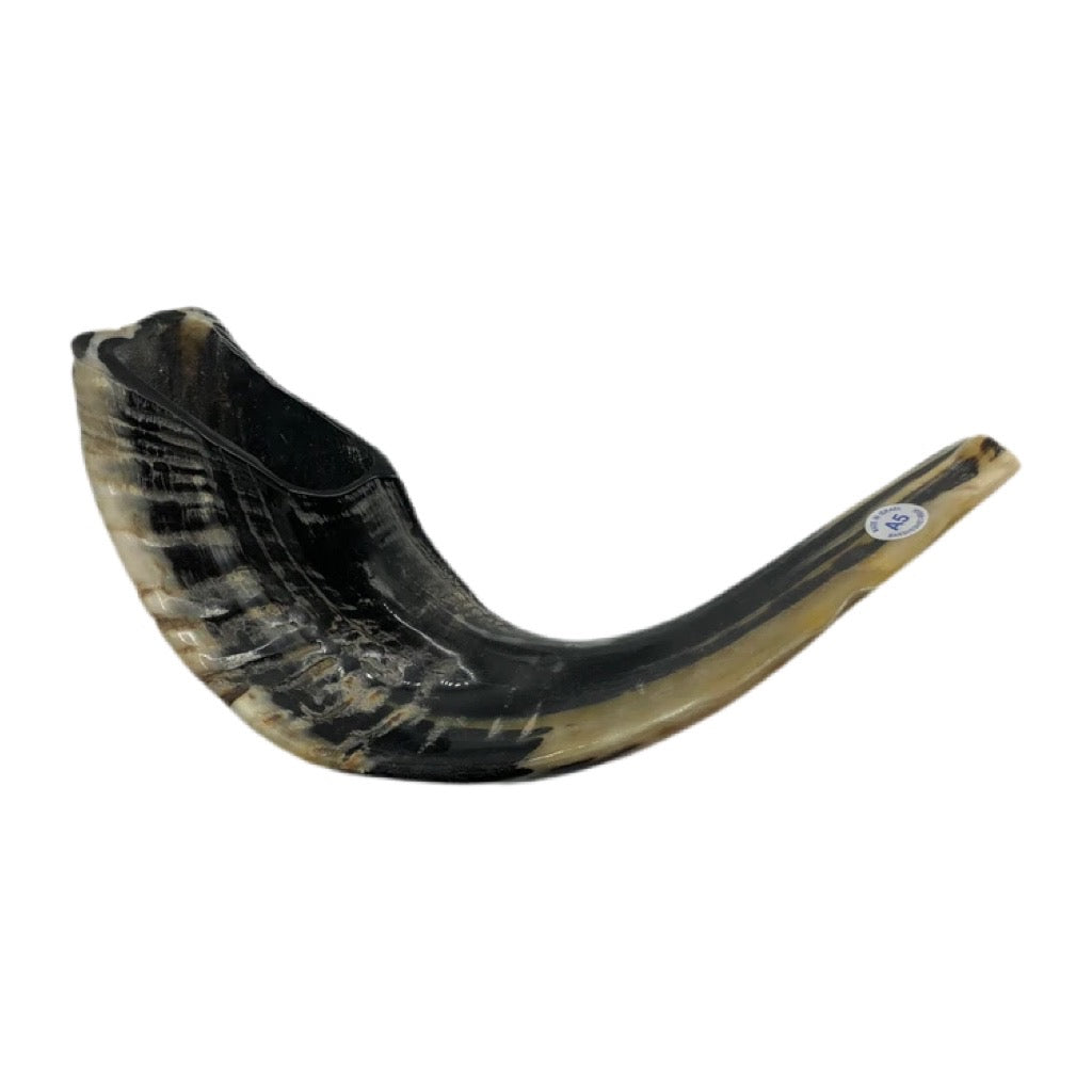 RAM A5 SHOFAR NATURAL