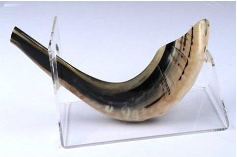 RAM C3 SHOFAR POLISHED