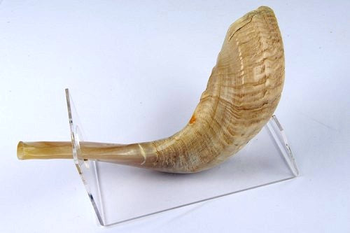 RAM B4 SHOFAR NATURAL